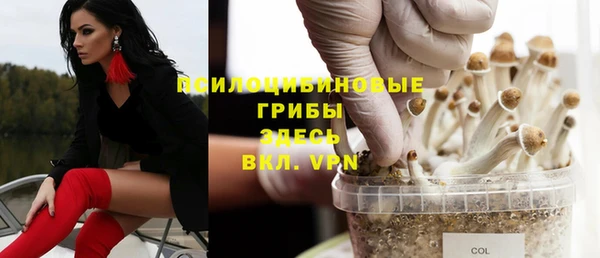 ECSTASY Остров